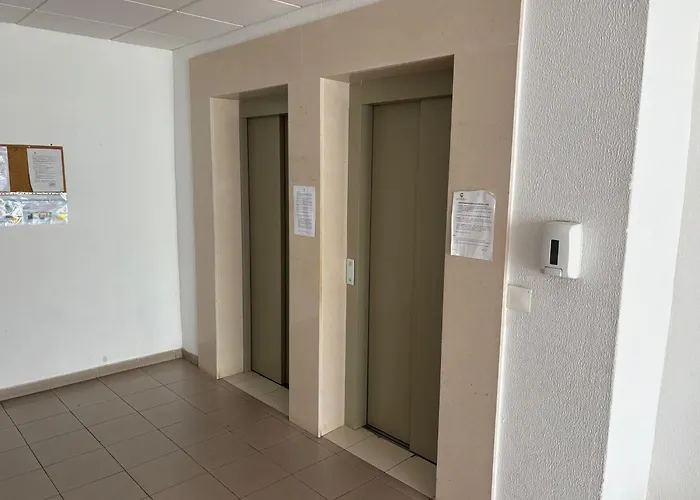 Rocha Branco Daire *